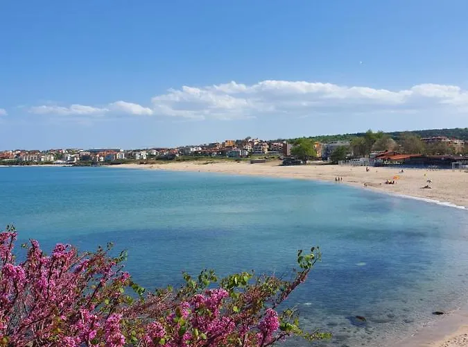 семеен амон ра Hotell 3*